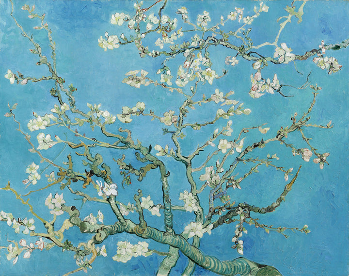 Almendro en flor, Van Gogh